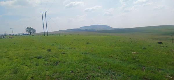 349 ha Commercial Farm