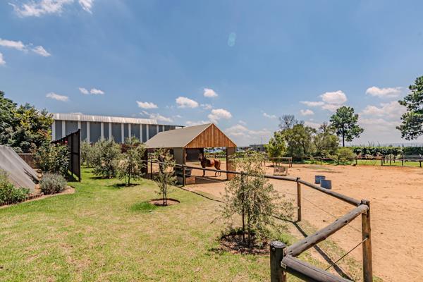 1.7 ha Smallholding