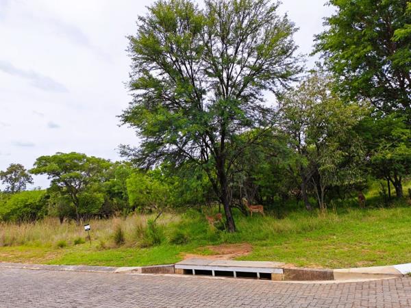 1 362 m² Land