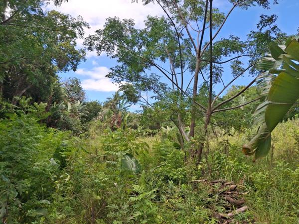 1 138 m² Land