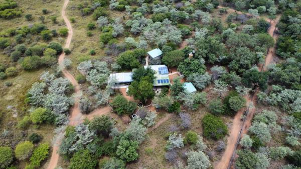 8.5 ha Smallholding