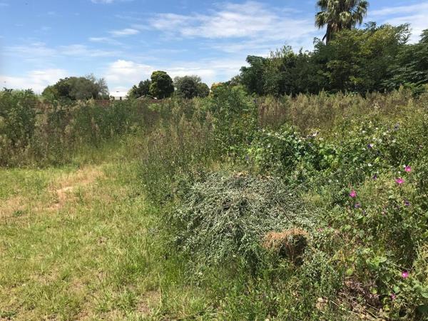 2 335 m² Land