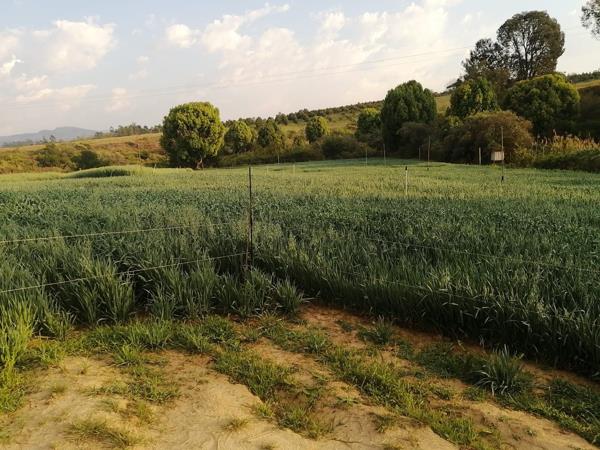 21 433 ha Farm