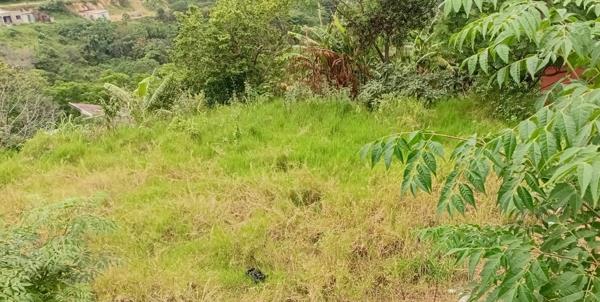 359 m² Land