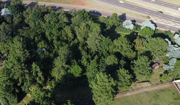 1 ha Land