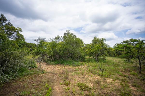 9 134 m² Land