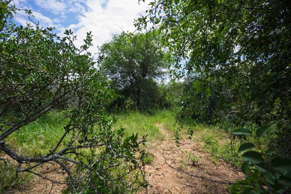 9 305 m² Land