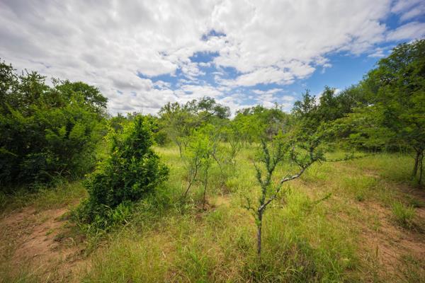 8 124 m² Land