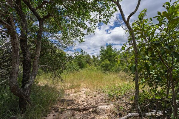 7 670 m² Land