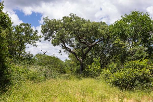 8 725 m² Land
