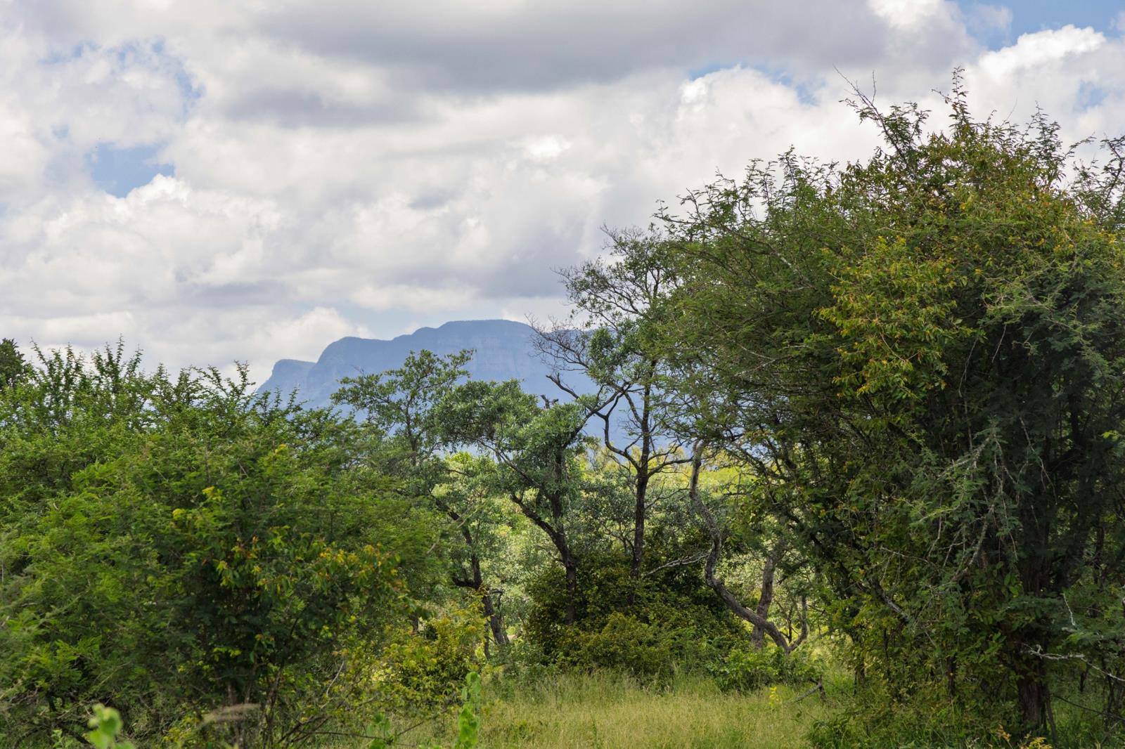 7 020 m² Land - View 2