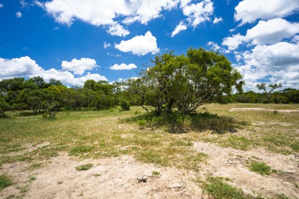 1 ha Land