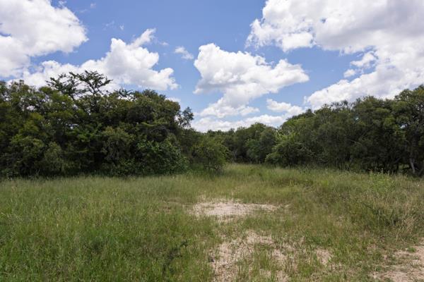 1.3 ha Land