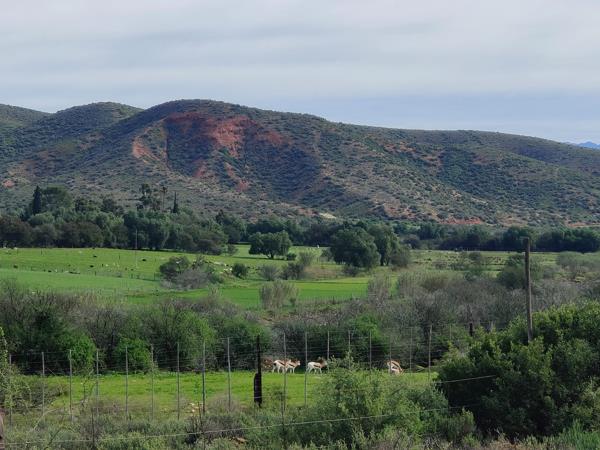 47.8 ha Land