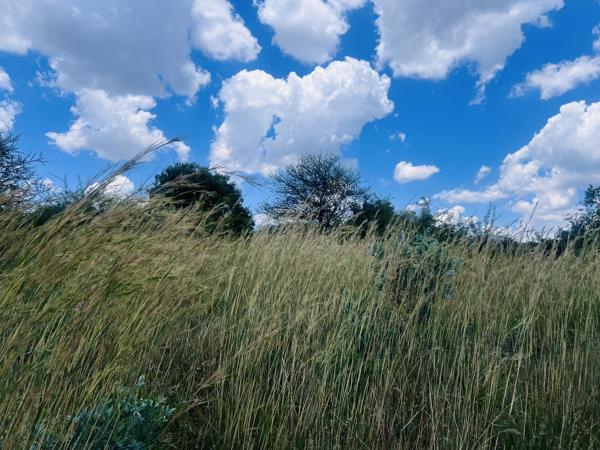 907 m² Land