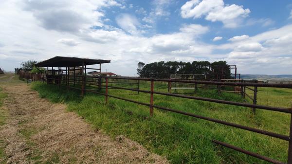 9.4 ha Smallholding