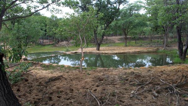 43 ha Farm