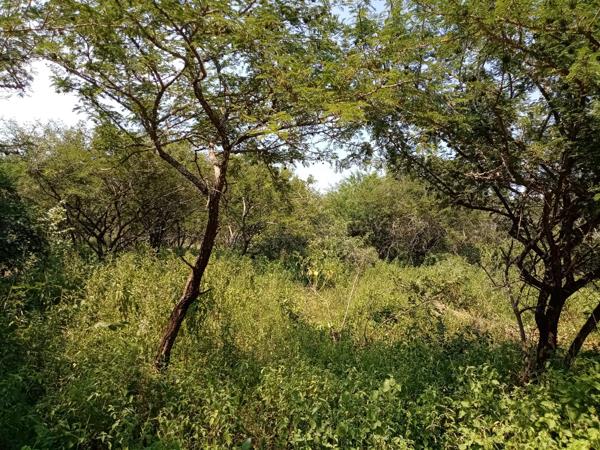 1 700 m² Land