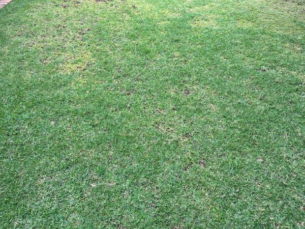 4 653 m² Land