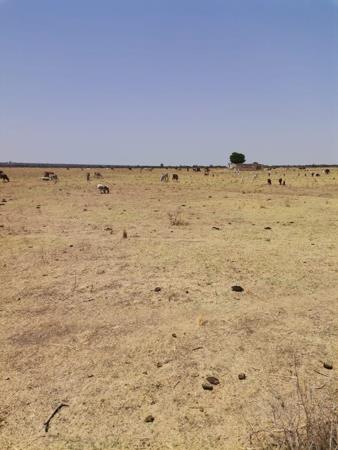 21.8 ha Land