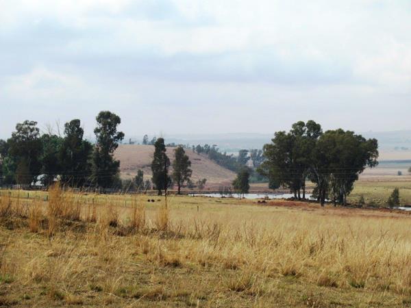 60 ha Farm