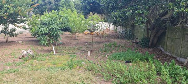 1 200 m² Land