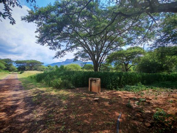 1 ha Land