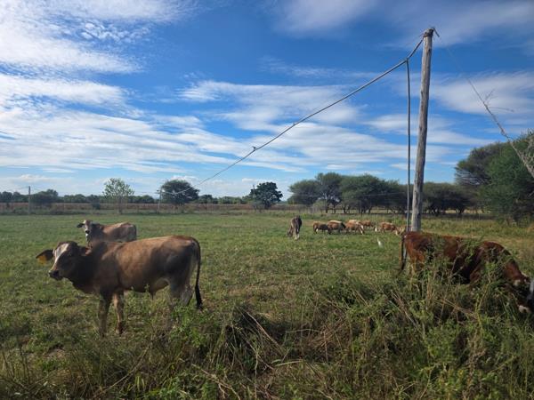 75 ha Farm