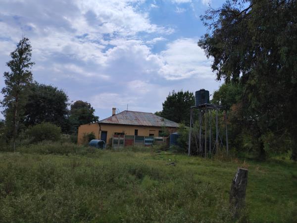 25.3 ha Farm
