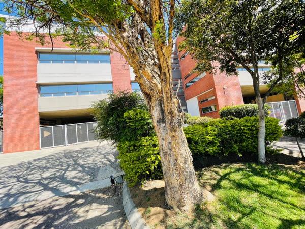 209  m² Commercial space