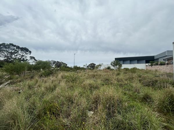 717 m² Land