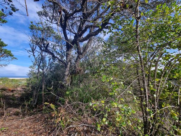 729 m² Land