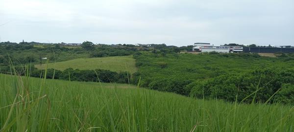 14 ha Land