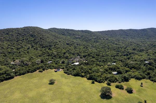 Game Farm