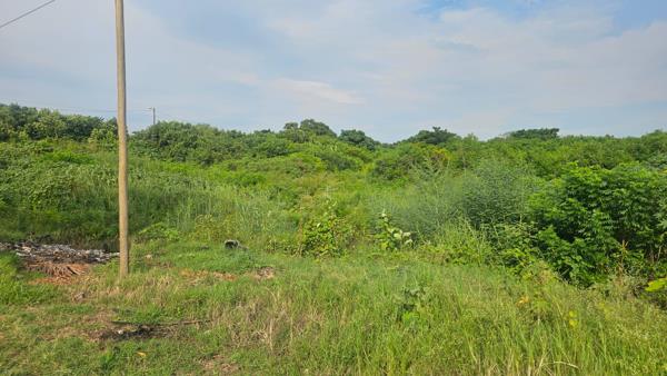 1 ha Land