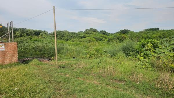 1 ha Land