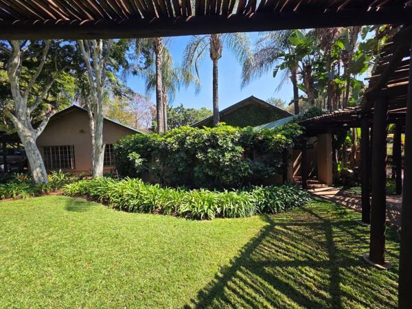 175  m² Commercial space