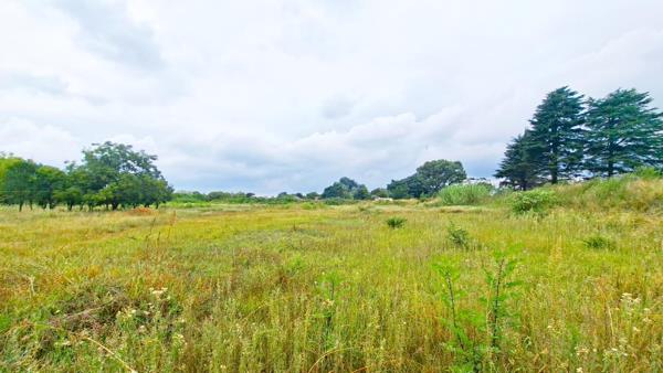 150 m² Commercial space