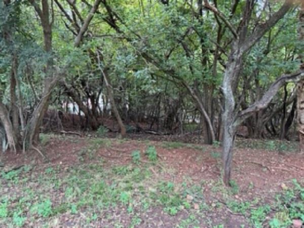 586 m² Land