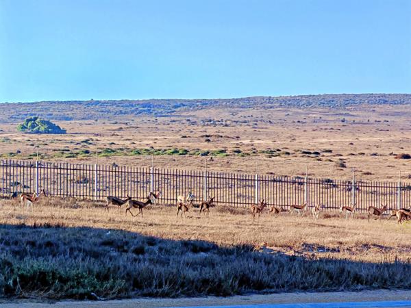 486 m² Land
