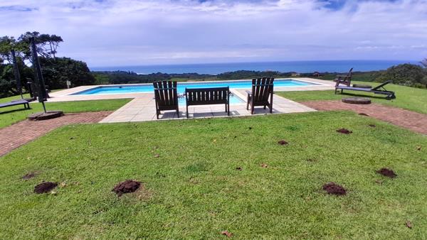 1 375 m² Land