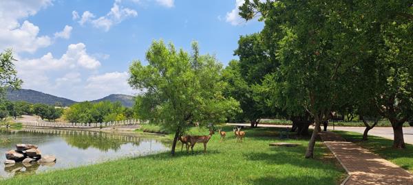 1 195 m² Land