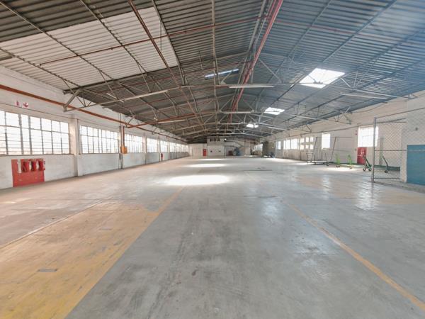 7 800 m² Industrial space