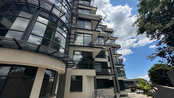 177 m² Office Space