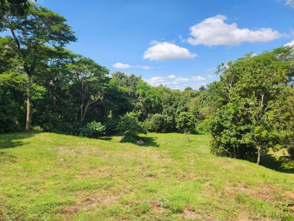 2 971 m² Land