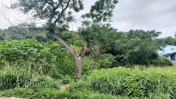 929 m² Land