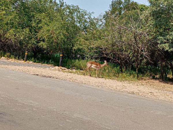 1 650 m² Land