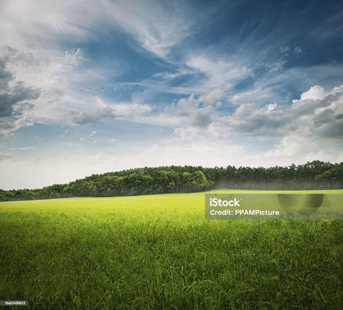 5.6 ha Farm