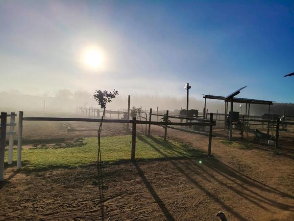 2 000  m² Commercial space