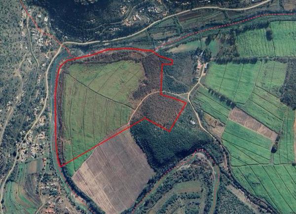 209 ha Agricultural Holding